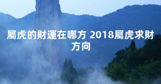 屬虎的財運在哪方 2018屬虎求財方向